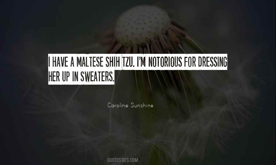 Sweaters With Sayings #162269