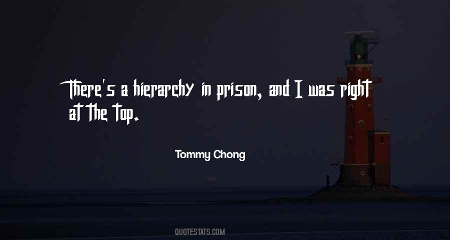 Tommy Chong Sayings #1795678