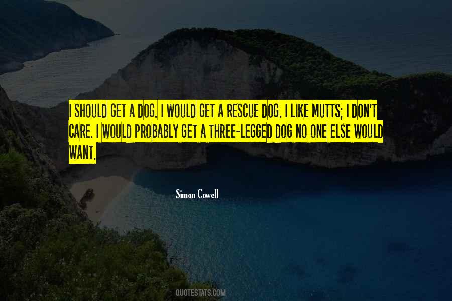 Three Dog Sayings #1282149