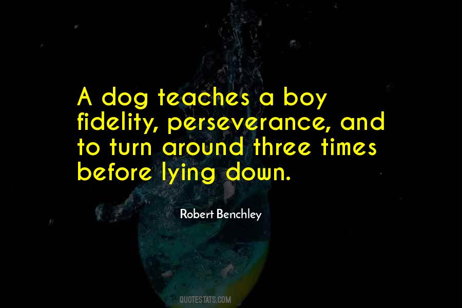 Three Dog Sayings #1656495