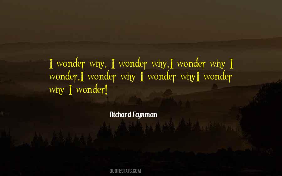 Wonder Why Sayings #957357