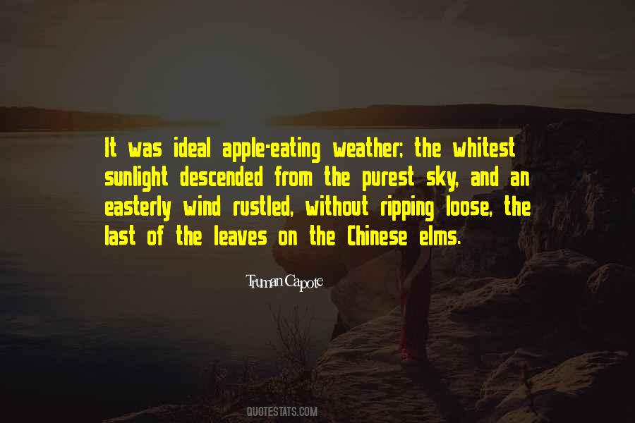 Wind Weather Sayings #1199073