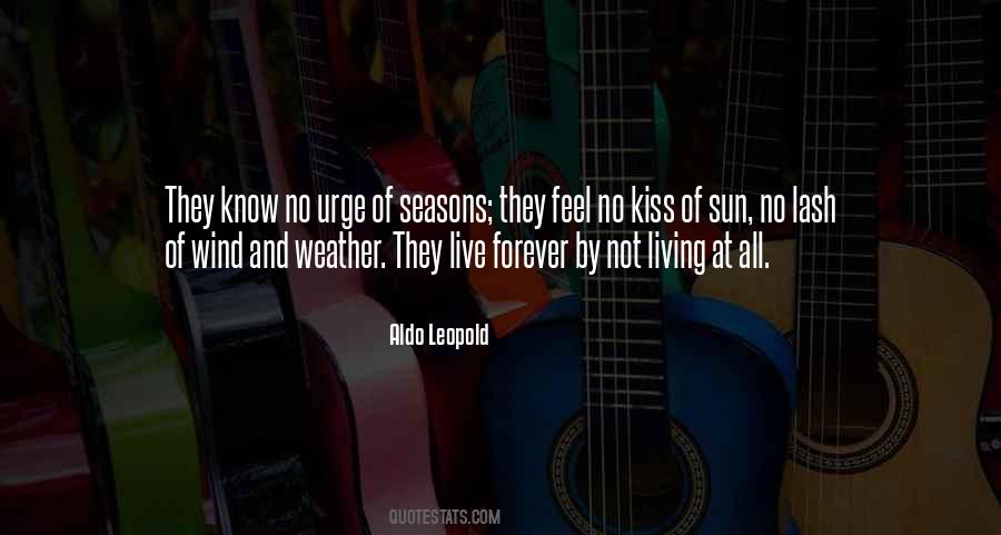 Wind Weather Sayings #1628498