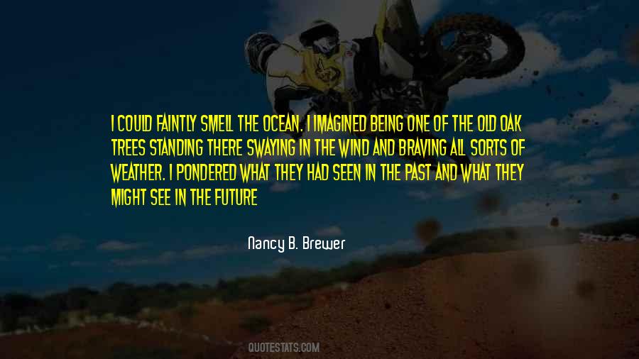 Wind Weather Sayings #290411
