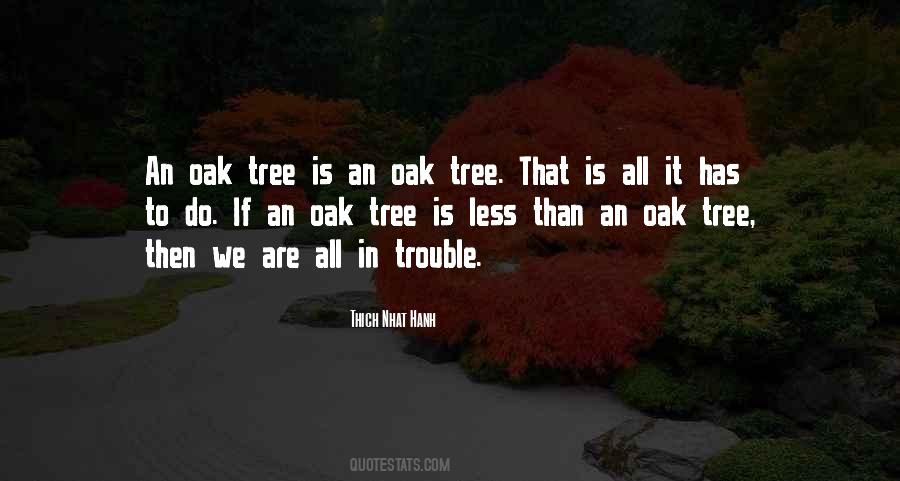 Wish Tree Sayings #11577