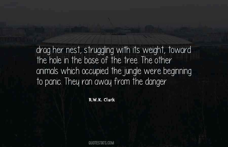 Wish Tree Sayings #13675