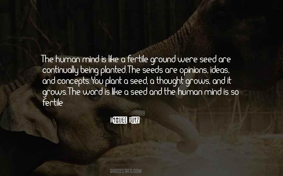 Plant A Seed Sayings #1344808