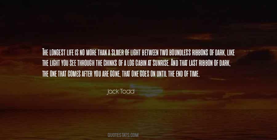 Quotes About Light In The Dark #123560