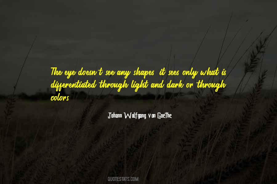 Quotes About Light In The Dark #56585