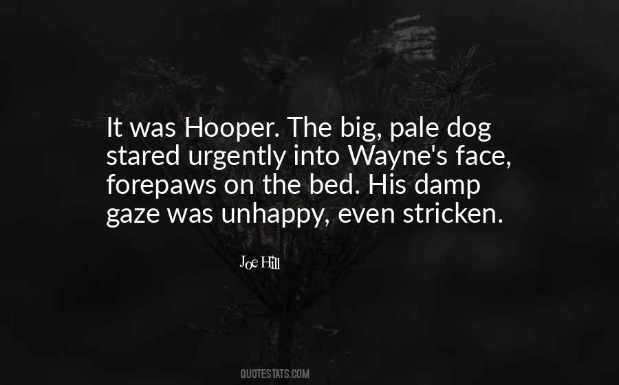 Dog Bed Sayings #636468