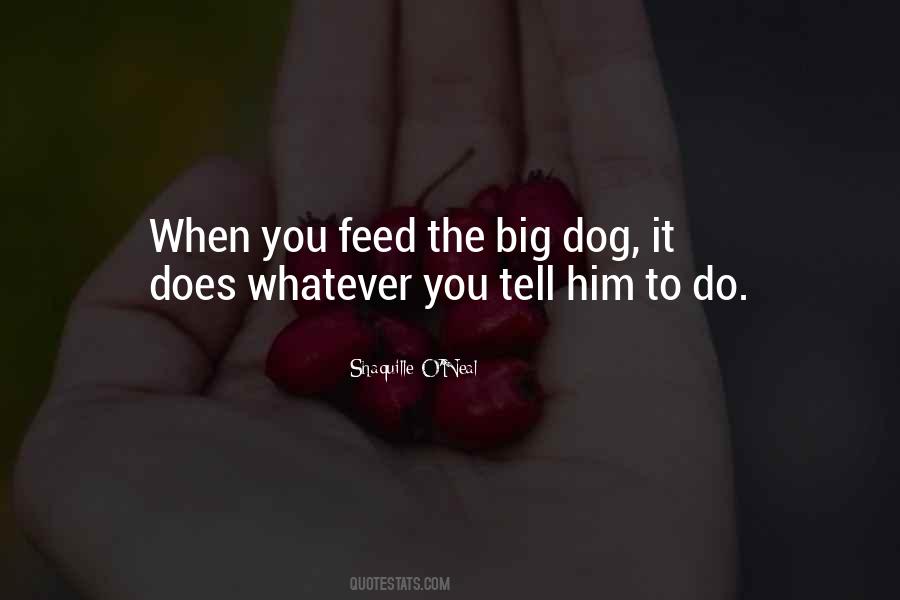 Big Dog Sayings #663639