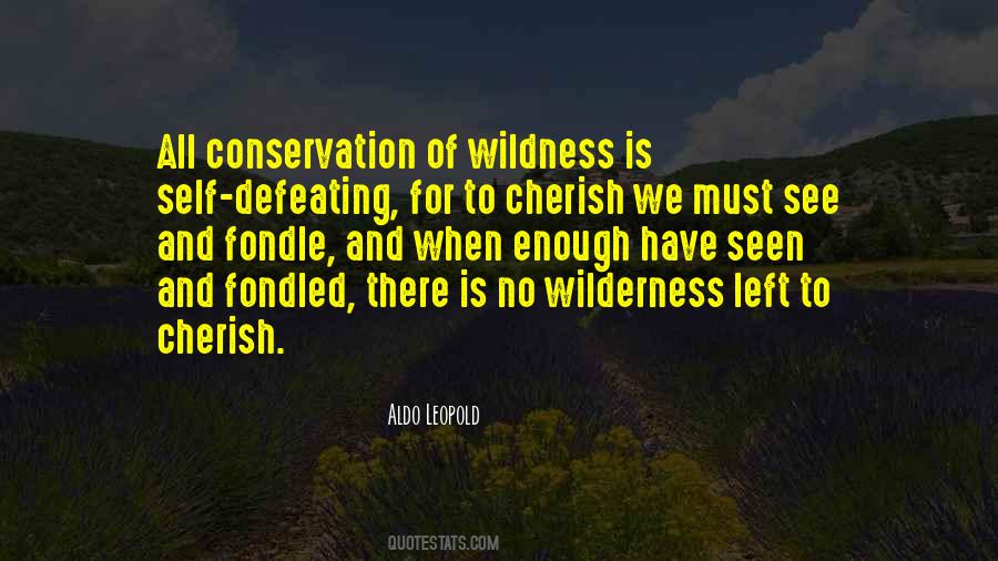 Quotes About Conservation #1828691