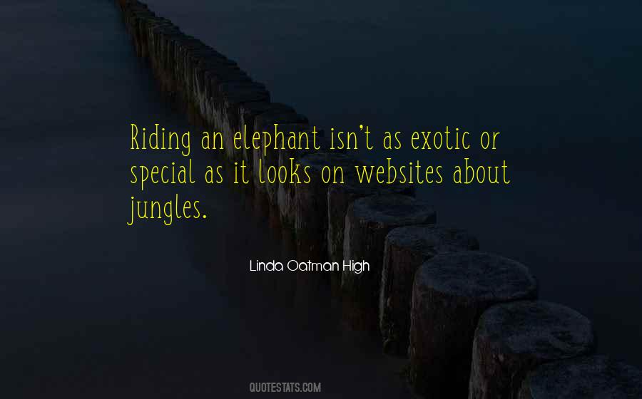 Exotic Animal Sayings #1624224