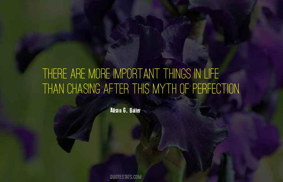 Quotes About Chasing Perfection #772290