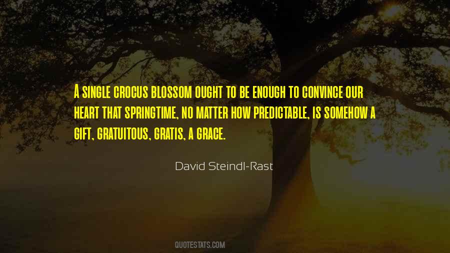 David Steindl Rast Sayings #1234086