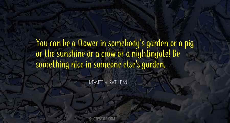 Something Nice Sayings #1540590