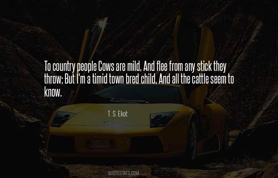 Country Town Sayings #1399182