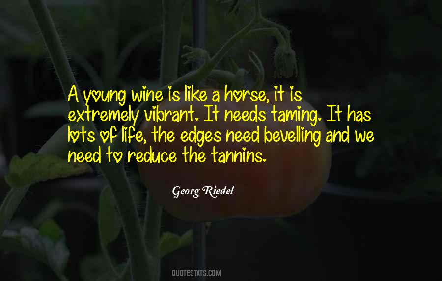 Wine And Horse Sayings #940085