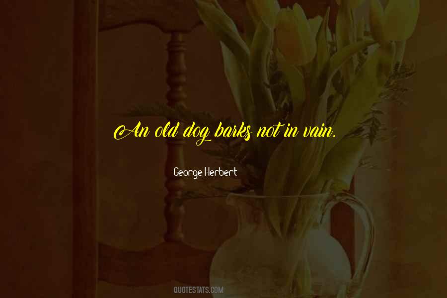 Dog Bark Sayings #638269
