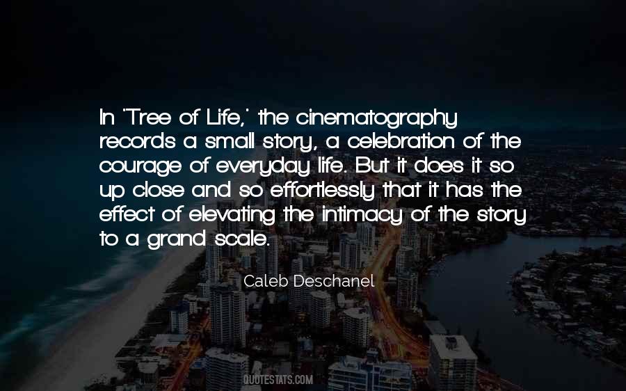 Celebration Life Sayings #31138