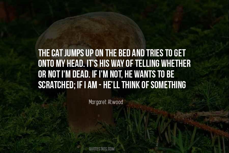 Dead Cat Sayings #1273753