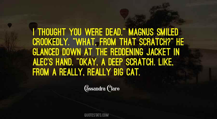 Dead Cat Sayings #1330254