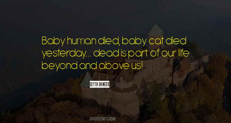 Dead Cat Sayings #1375102