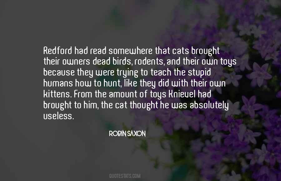 Dead Cat Sayings #1714221