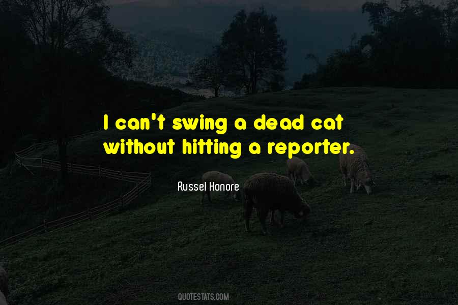 Dead Cat Sayings #1811150