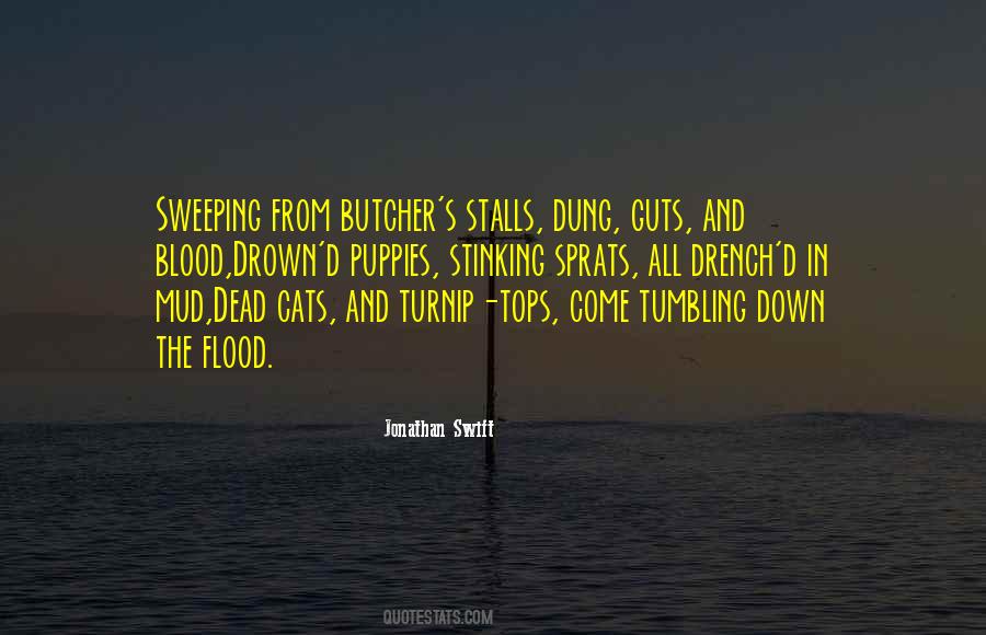 Dead Cat Sayings #395420