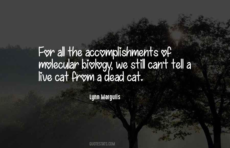 Dead Cat Sayings #710367