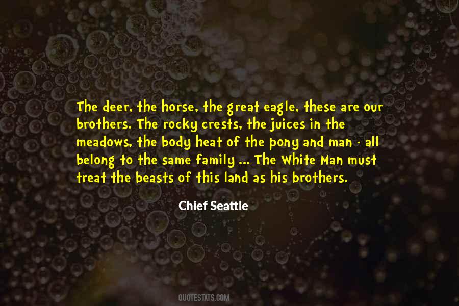 Deer Family Sayings #1331467