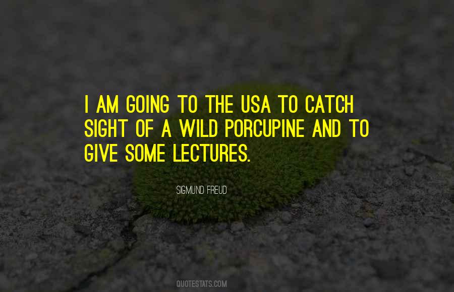 Give Some Sayings #954541