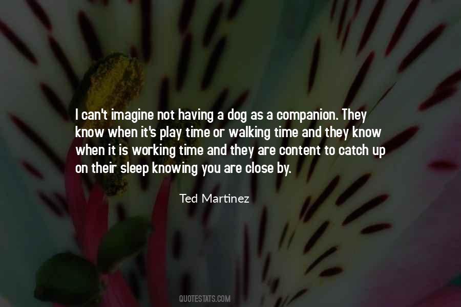 Quotes About Walking Your Dog #399503