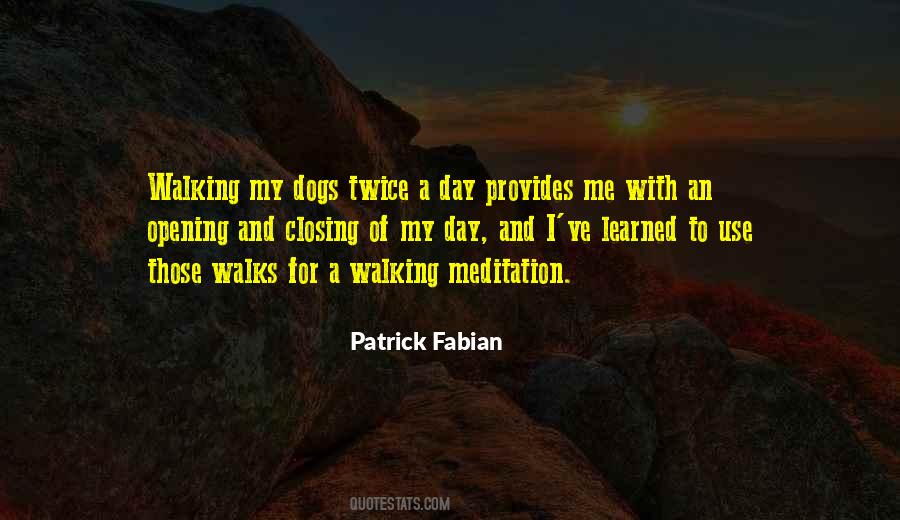 Quotes About Walking Your Dog #93882