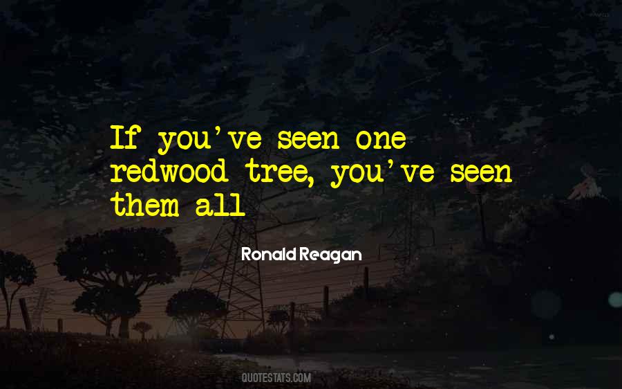 Redwood Tree Sayings #398474