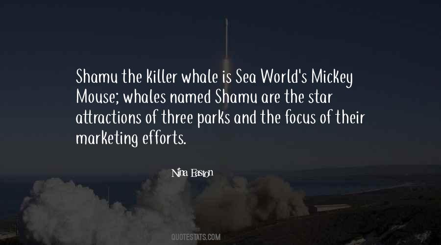 Sea World Sayings #870261