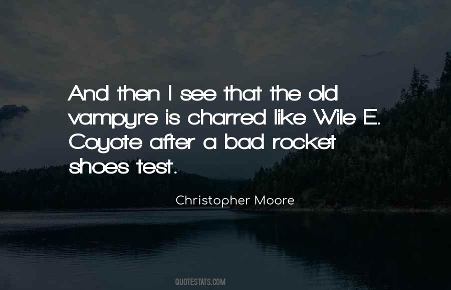 Old Shoes Sayings #1644671