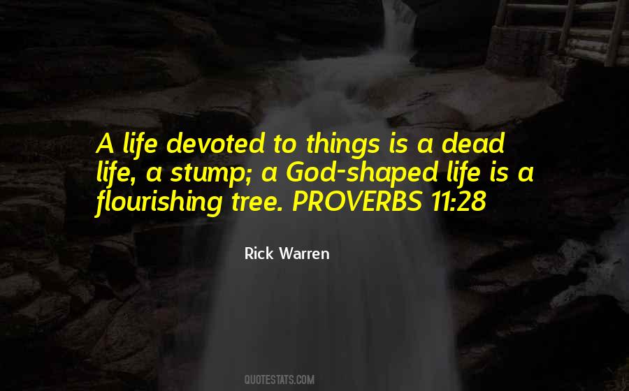 Tree Proverbs Sayings #258689