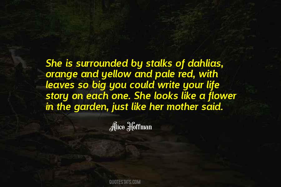 Yellow Flower Sayings #853168