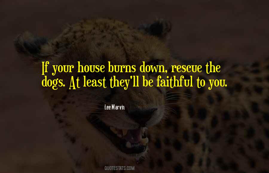 Dog House Sayings #1173362