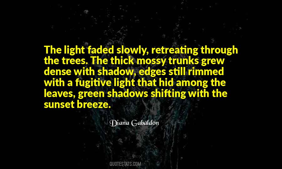 Quotes About Shadows Of Trees #761391