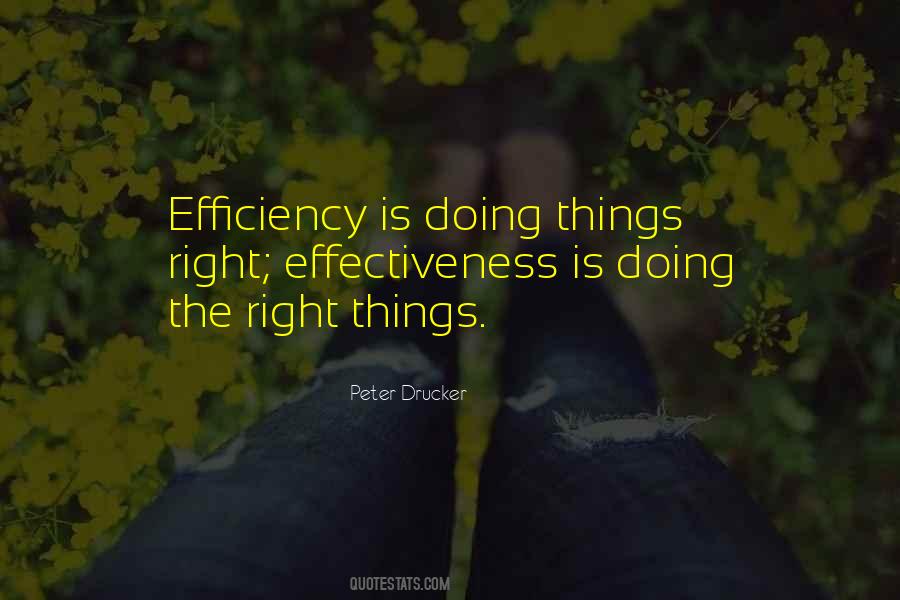 Quotes About Effectiveness And Efficiency #814099