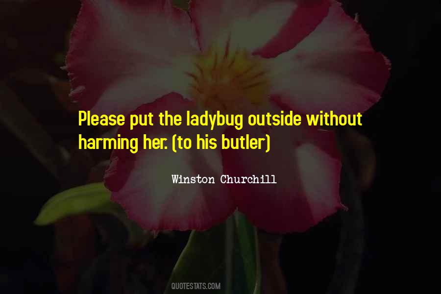 Quotes About Ladybugs #405608