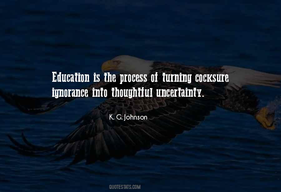 Quotes About The Process Of Learning #279520