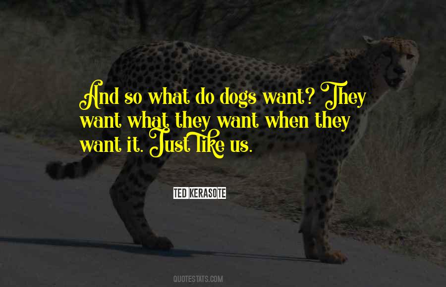 Quotes About Infj #270524 Quotes About Infj #270524
