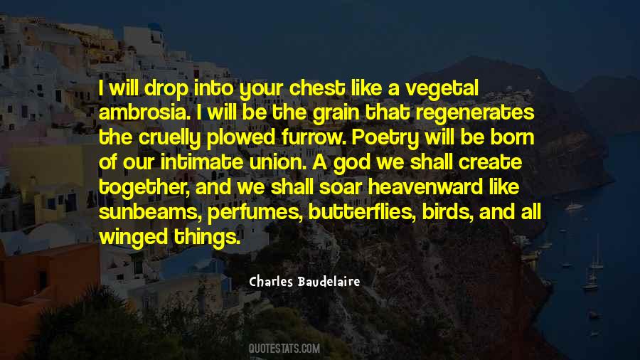 Quotes About Chest #1832068