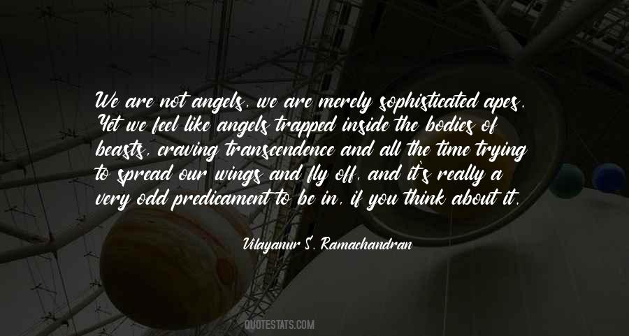 Quotes About Angels Without Wings #233294