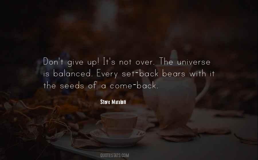 Quotes About Balanced Life #106955