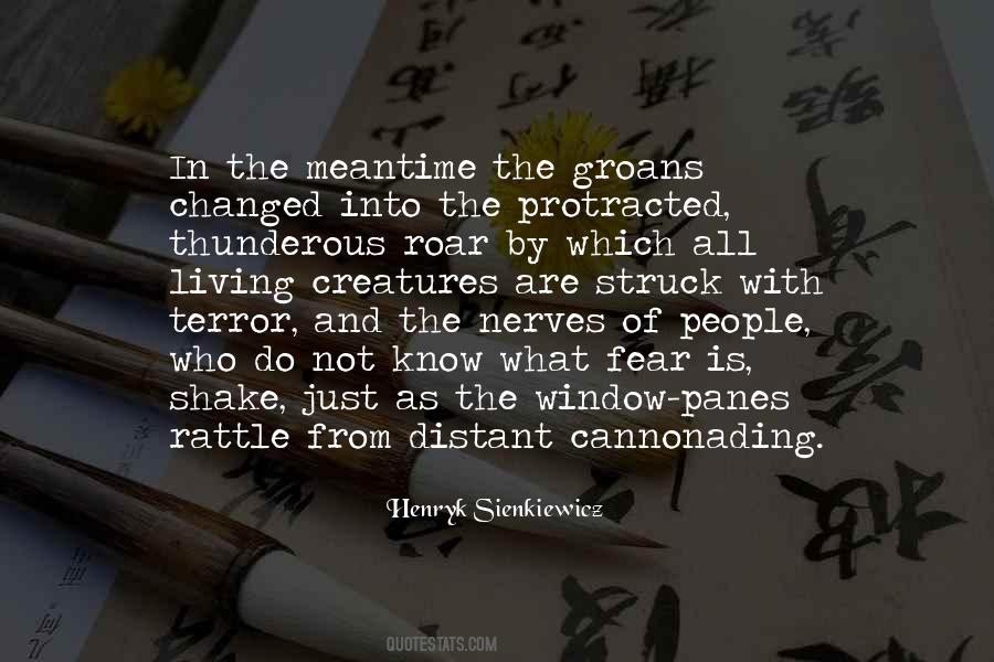 Quotes About The Meantime #391271